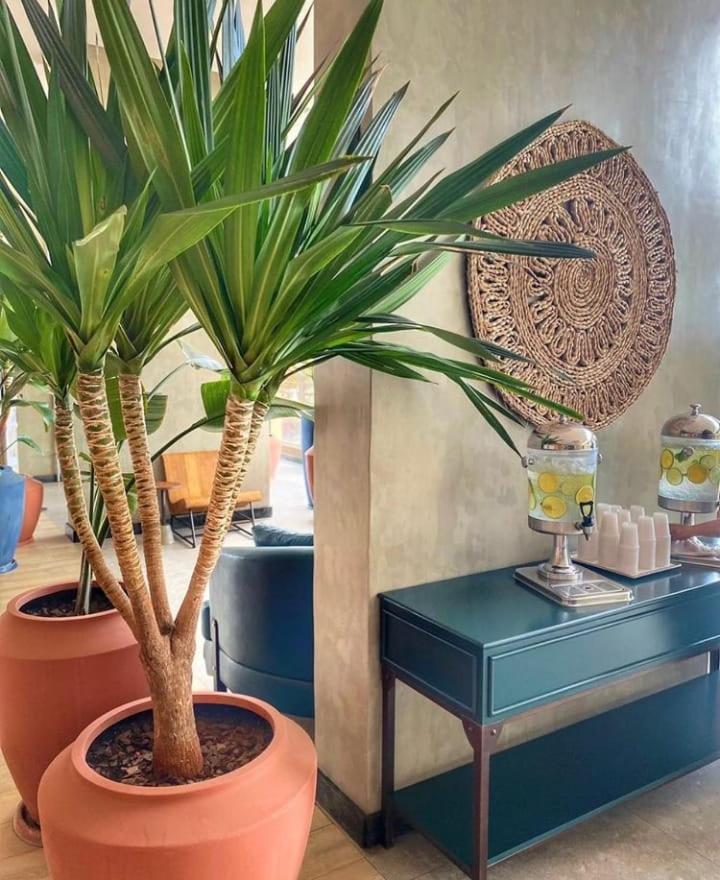 Hotel Hotbeachsuites Lazer E Diversao 5*